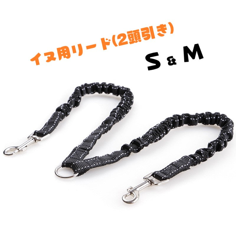 2頭引きリード イヌ 犬 散歩グッズ ペット用品 ベルトタイプ リング 無地 ブラック シンプル お散歩 お出かけ 使いやすい 多頭飼い