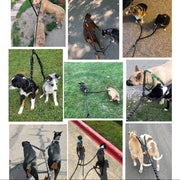 2頭引きリード イヌ 犬 散歩グッズ ペット用品 ベルトタイプ リング 無地 ブラック シンプル お散歩 お出かけ 使いやすい 多頭飼い