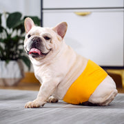 マナーベルト マナーバンド ペット用 犬 ドッグ 猫 キャット 吸水 面ファスナー シンプル ペット用品 生理用品