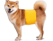 マナーベルト マナーバンド ペット用 犬 ドッグ 猫 キャット 吸水 面ファスナー シンプル ペット用品 生理用品