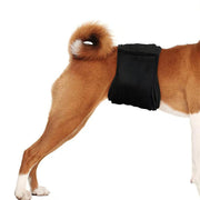 マナーベルト マナーバンド ペット用 犬 ドッグ 猫 キャット 吸水 面ファスナー シンプル ペット用品 生理用品