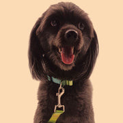 首輪 カラー 犬用 猫用 ペット用品 バックル ボヘミアン 花 フラワー チェック 幾何学 可愛い おしゃれ カラフル サイズ調節可 散歩 おでかけ ペットグッズ いぬグッズ イヌ ねこ ネコ