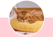 ペット用クッション 猫 犬 ねこ いぬ ペット 枕 まくら ピロー U字型 アーチ型 かわいい 可愛い シンプル あごのせ 顎乗せ 小型犬 お昼寝 休憩 いちご柄 チェリー柄 桃柄 柚子柄