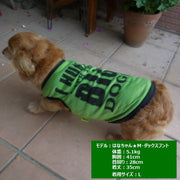 犬服 ドッグウェア ペットウェア Ｔシャツ ノースリーブ ロゴＴシャツ 英字 犬用 ペット用 犬 いぬ ドッグ 可愛い かわいい おしゃれ オシャレ かっこいい 春 夏 秋 小型犬 ブラック イエロー オレンジ グリーン 黒 黄色 橙 緑