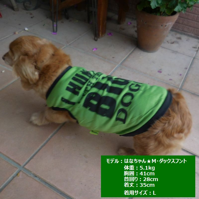 犬服 ドッグウェア ペットウェア Ｔシャツ ノースリーブ ロゴＴシャツ 商品画像3