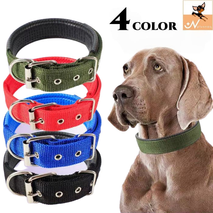 ペット用首輪 犬 イヌ いぬ 小型 中型 ペット用品 Dカン付き サイズ豊富 調節可能 シンプル 単色 無地