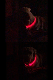 犬用チョーカー 首輪 LEDライト チューブ 光る USB充電式 ペット用品 アクセサリー ドッグ お散歩 夜間 お出掛け 安全対策 おしゃれ かわいい 軽量 柔らかい シンプル 長さ調節可能 レッド イエロー グリーン ブルー ホワイト ピンク オレンジ リチウム