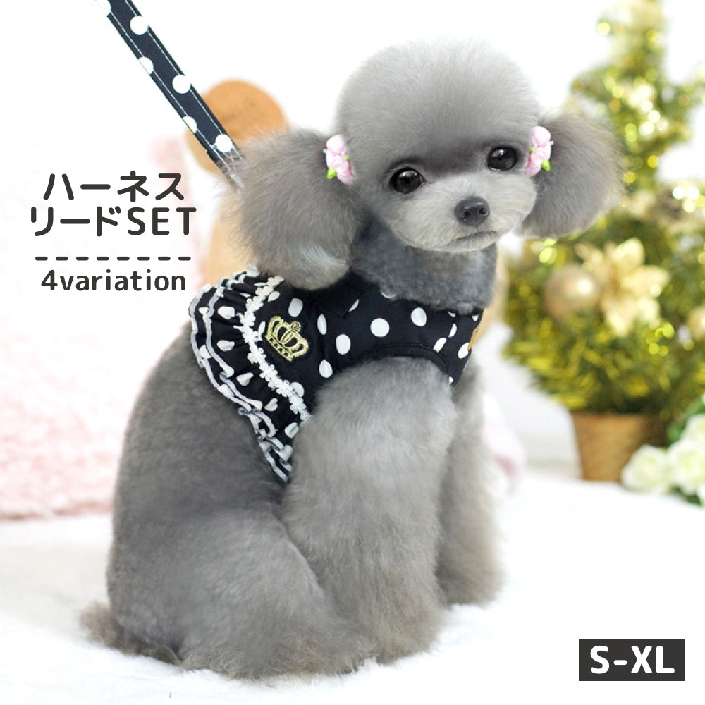 ハーネス リード セット ペット用品 小型犬 中型犬 猫 散歩 可愛い レース フリル フレア ドット柄 メッシュ 通気性 胴輪 ベスト 胸あて 牽引ロープ お散歩紐 リーシュ 引きひも 簡単装着 着脱簡単 ワンタッチバックル パイピング ロゴ 水玉模様 総柄 プリント かわいい おしゃれ お洒落 いぬ イヌ ドッグ DOG ねこ ネコ キャット CAT お出かけ