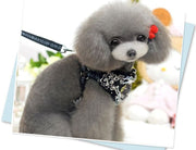 ハーネス リード セット ペット用品 小型犬 中型犬 猫 散歩 可愛い レース フリル フレア ドット柄 メッシュ 通気性 胴輪 ベスト 胸あて 牽引ロープ お散歩紐 リーシュ 引きひも 簡単装着 着脱簡単 ワンタッチバックル パイピング ロゴ 水玉模様 総柄 プリント かわいい おしゃれ お洒落 いぬ イヌ ドッグ DOG ねこ ネコ キャット CAT お出かけ