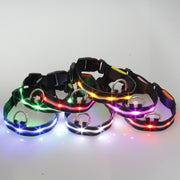首輪 犬用 単品 LEDライト 光る ペット用品 ペット用 電池式 お散歩 点滅 フラッシュ 夜間 早朝 夕方 アウトドア 小型犬 中型犬 ネコ 猫 シンプル 公園 外出 Dカン レッド 赤 オレンジ ブルー 青 グリーン 緑 イエロー 黄 ピンク ホワイト 白 ドッグ イヌ わんこ