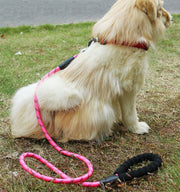 リード 牽引紐 ロープ 犬用 ペット用品 ペットグッズ お散歩用品 散歩グッズ 散歩紐 リーシュ 反射機能付き 夜のお散歩  お出かけ 小型犬 中型犬 イヌ いぬ
