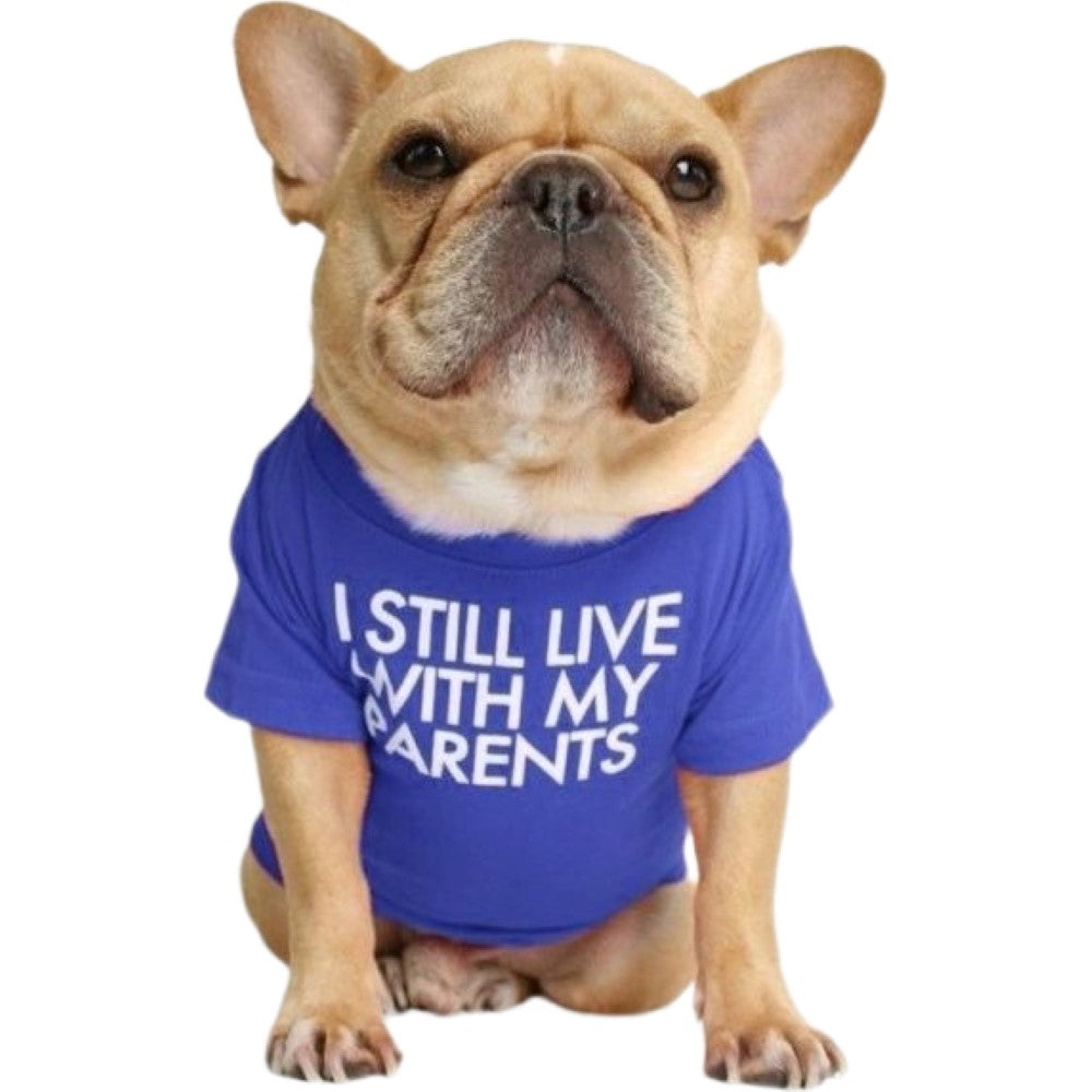 ペットウェア Tシャツ 犬服 洋服 ドッグウェア フレンチブルドッグ ロイヤルブルー×PARENTS バリエーション画像