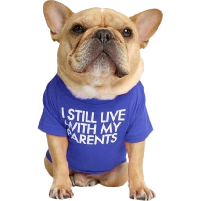 ペットウェア Tシャツ 犬服 洋服 ドッグウェア フレンチブルドッグ ロイヤルブルー×PARENTS バリエーション画像