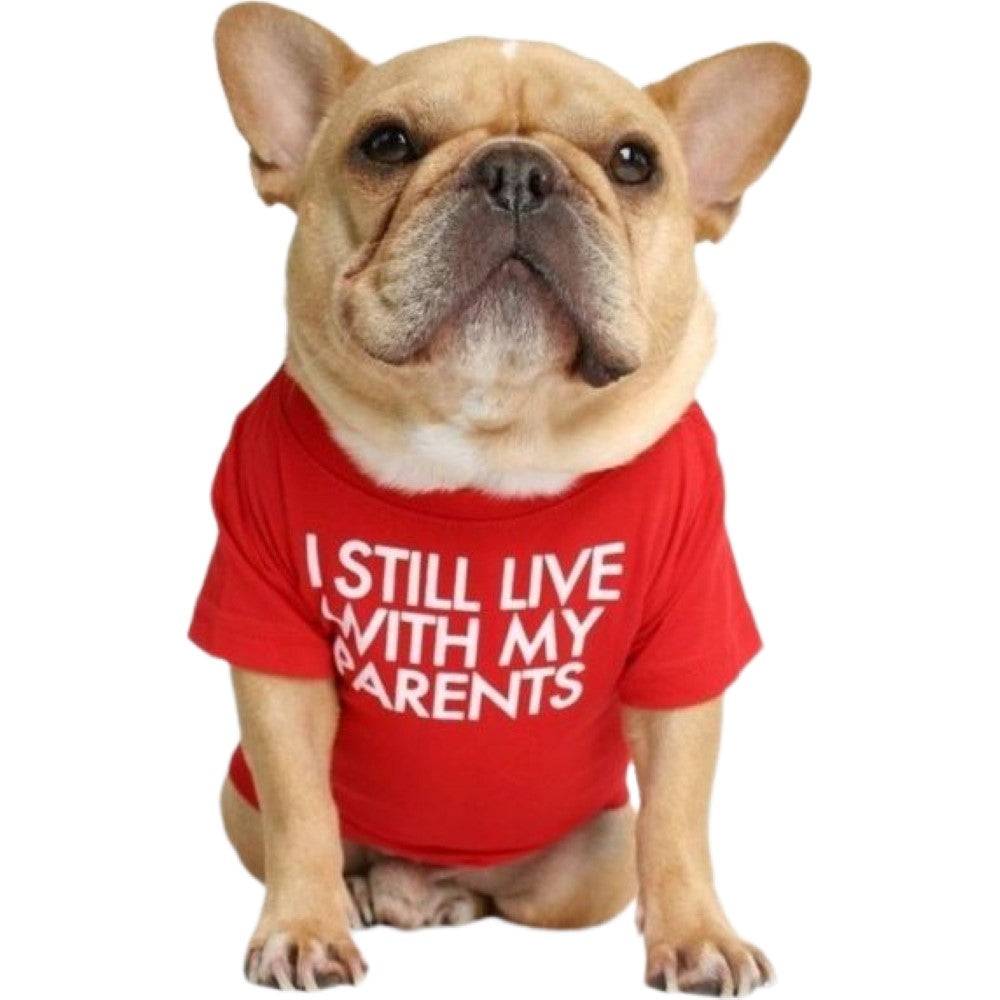 ペットウェア Tシャツ 犬服 洋服 ドッグウェア フレンチブルドッグ レッド×PARENTS バリエーション画像