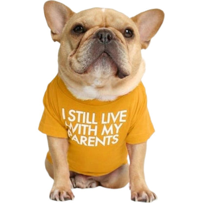 ペットウェア Tシャツ 犬服 洋服 ドッグウェア フレンチブルドッグ イエロー×PARENTS バリエーション画像