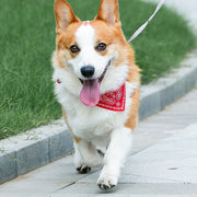 首輪 カラー 犬用 猫用 イヌ ネコ ペット用品 ペットグッズ バンダナ風 フェイクレザー ペイズリー柄 ブラック おしゃれ かわいい おでかけ お散歩 ドッグ キャット