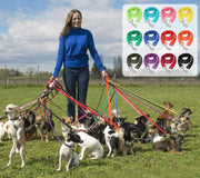 リード リーシュコード スタンダードリード 散歩ひも 牽引紐 犬用 ペット用品 中型犬 小型犬 散歩グッズ 150cm ナイロン素材 360度回転金具 カラフル
