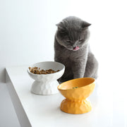 ネコ用食器 フードボウル ウォーターボウル ペット用食器 ねこ用品 エサ入れ 水入れ ペットグッズ 陶器製 脚付き 傾斜 おしゃれ かわいい 猫 犬 200ml