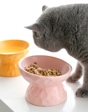 ネコ用食器 フードボウル ウォーターボウル ペット用食器 ねこ用品 エサ入れ 水入れ ペットグッズ 陶器製 脚付き 傾斜 おしゃれ かわいい 猫 犬 200ml