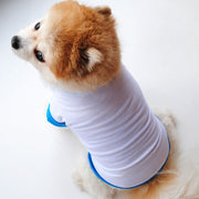 ドッグウェア 犬の服 犬服 ペット用品 わんちゃんグッズ 半袖Tシャツ カットソー シンプル お散歩 お出かけ おしゃれ