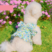 ペット用ハーネス リード 2点セット ペットウェア風 フラワー 花柄 レモン チェック柄 制服風 リボン かわいい おしゃれ ペット服 お散歩 散歩紐 犬服 イヌ