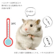 ハムスター用ハウス ハムスターハウス 小動物用ハウス ペット用インテリア ペット用品 ペットグッズ 陶器製 パン型 ブレッド型 丸型 長方形 カジュアル ポップ ユニーク 可愛い キュート おしゃれ