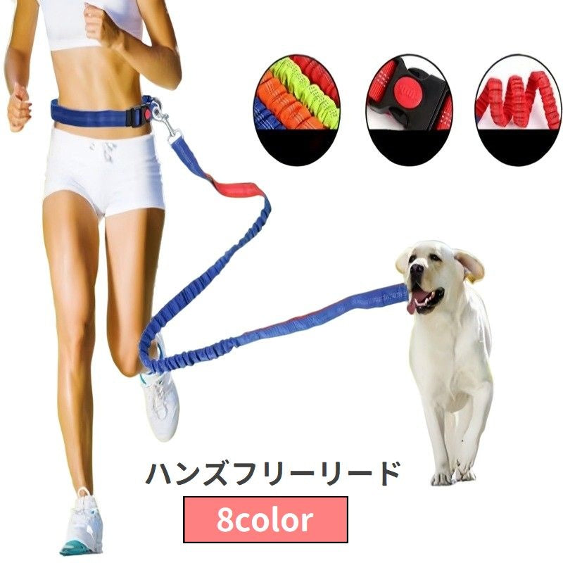 リード 伸縮 ハンズフリー 犬用 ペット用品 リーシュ ウエストベルト付き 腰ベルト ワンタッチバックル 手ぶら 散歩 ウォーキング ジョギング ランニング イヌ用