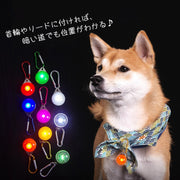 首輪用チャーム お散歩ライト ペット用アクセサリー 犬用ライト イヌ 散歩グッズ ペットグッズ ペット用品 カラビナ キーホルダー型 丸型 ラウンド レッド ホワイト シンプル 使いやすい アウトドア レジャー