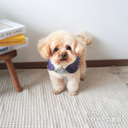【ギンガムチェックハーネス&リード】ハーネス リード 2点セット ペットグッズ ペット用品 犬用 猫用 小型犬 襟付き 胴輪 散歩紐 牽引紐 お散歩 お出かけ フリル レース ギンガムチェック レッド イエロー ブルー ネイビー S M  裏地メッシュ おしゃれ かわいい 韓国風 イヌ いぬ ネコ ねこ Too Wow トゥーワオ