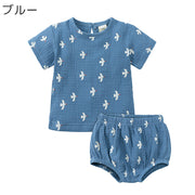 セットアップ 2点セット Tシャツ ショートパンツ ベビー キッズ トップス ボトムス 柄あり 半袖 ウエストゴム 春夏 カジュアル 部屋着 普段着 お出かけ かわいい