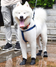 犬用 レインウェア レインブーツ 2点セット 小型犬 中型犬  レインコート 犬用靴 ドッグシューズ ドッグウェア ペット用品 雨具 カッパ お散歩 雨の日 雨対策 梅雨対策 泥はね対策 汚れ防止 足元カバー