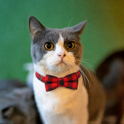 猫用首輪 2点セット セーフティバックル 鈴付き 星 月 チェック柄 リボン 猫 首輪 カラー ねこ ネコ ペット用品 おしゃれ かわいい 付け替え 予備
