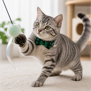 猫用首輪 2点セット セーフティバックル 鈴付き 星 月 リボン 猫 首輪 ねこ ネコ ペット用品 猫用品 おしゃれ かわいい 付け替え 予備 お出掛け
