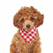 犬用 バンダナ トレーナー おもちゃ 3点セット ペットウェア ドッグウェア Mサイズ 男の子 女の子 チェック柄 裏起毛 音が鳴るぬいぐるみ アヒル お散歩 お出かけ 写真撮影 室内遊び プレゼント かわいい おしゃれ