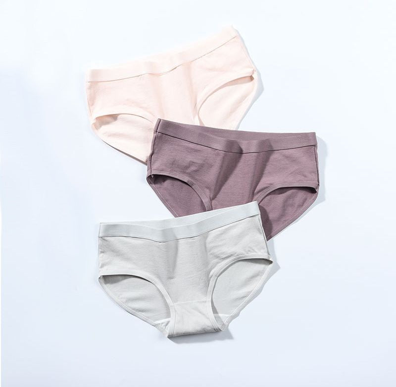 スタンダードショーツ レディース 下着 インナー パンツ フルバック 商品画像5
