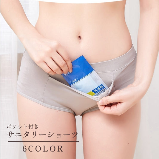 サニタリーショーツ 生理用ショーツ ポケット付き スタンダード レディース 女性 商品画像