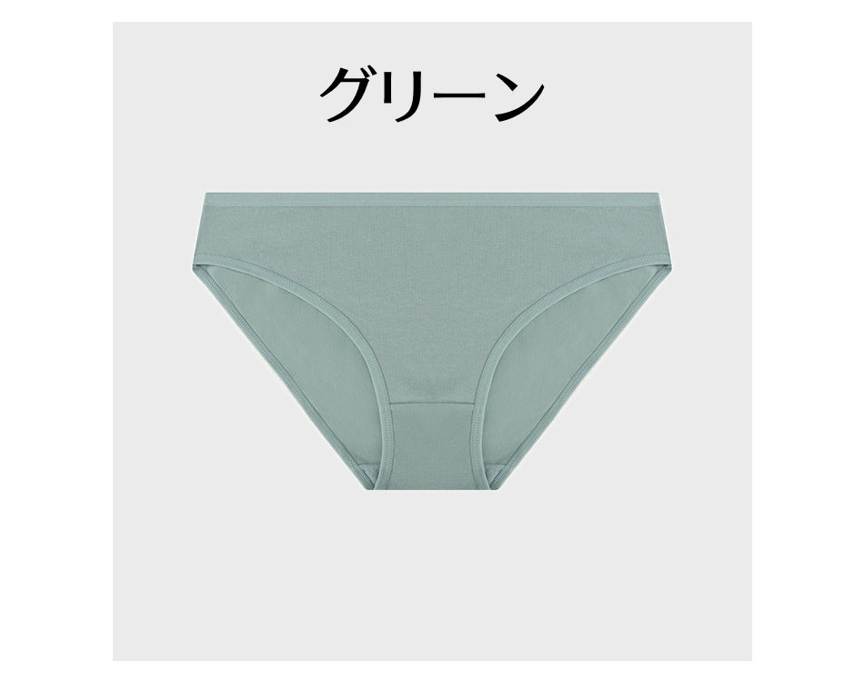ヒップハンガーショーツ レディース 女性用 インナー 無地 単色 商品画像5