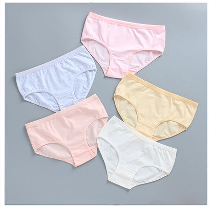スタンダードショーツ レディース ジュニア ガールズ 女性用 女の子 商品画像2