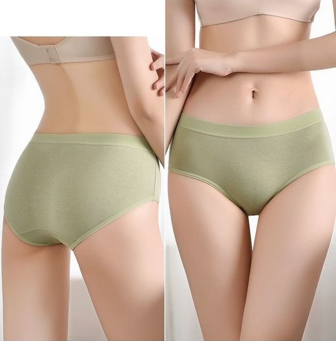 スタンダードショーツ レディース 下着 インナー 肌着 パンツ 商品画像2