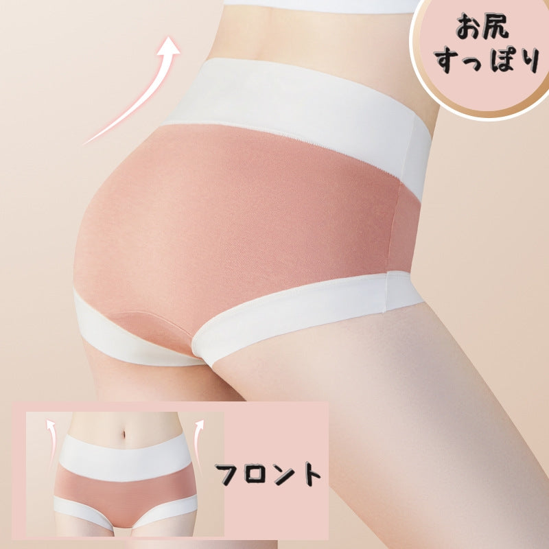 スタンダードショーツ パンツ レディースショーツ レディースインナー 下着 女性 商品画像2