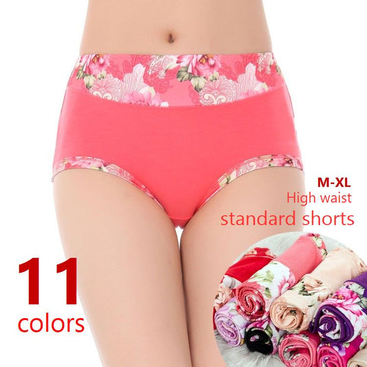 スタンダードショーツ 深履き フルバックショーツ ハイウエスト パンティ レディース 商品画像