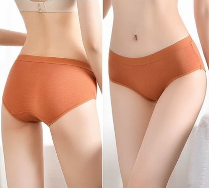 ショーツ スタンダードショーツ レディース 女性 インナー フルバック 商品画像2
