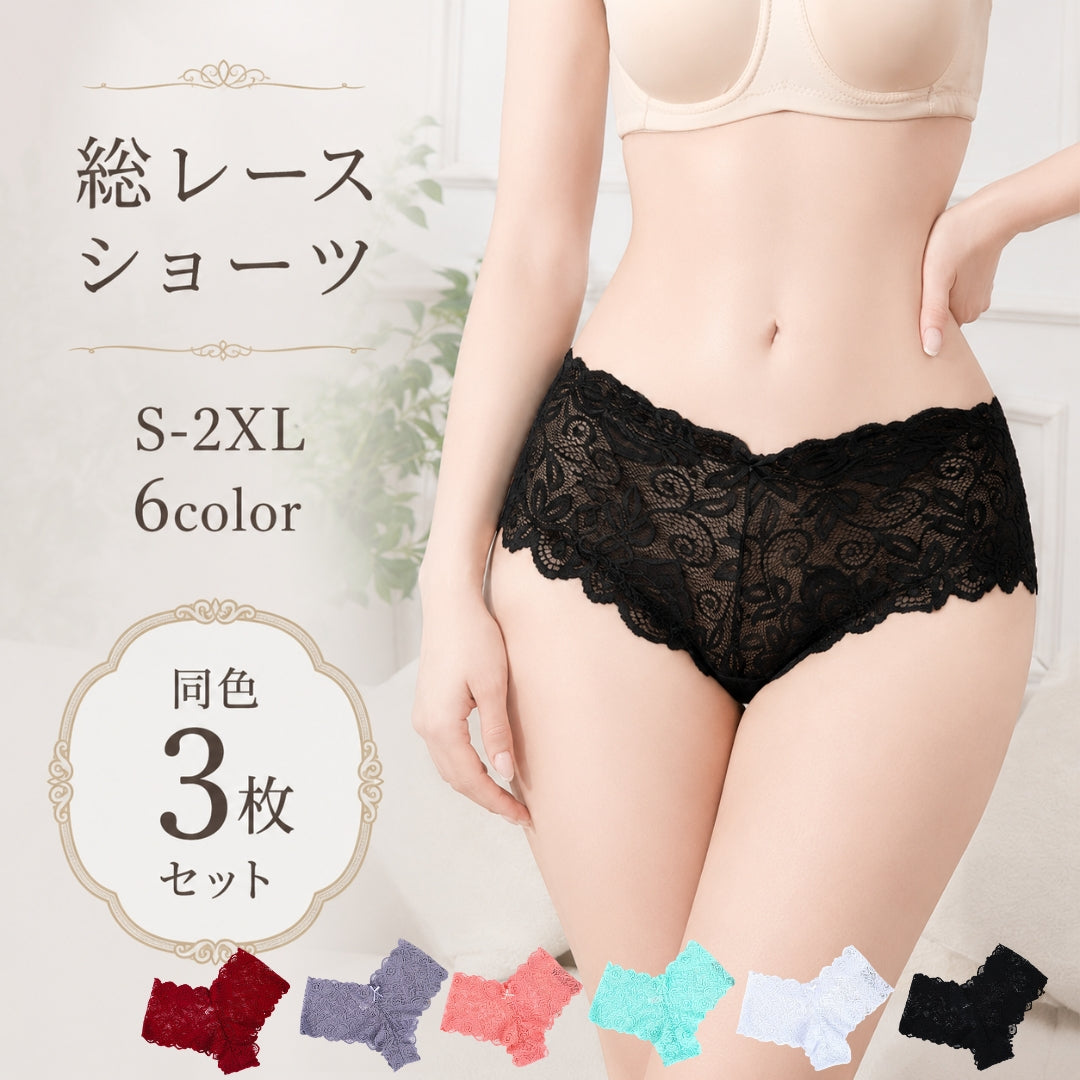 Tバックショーツ 同色3枚セット レディース 女性 下着 インナー 総レース ローライズ 透け感 大きいサイズ パンティー ヒップハンガー 薄手 おしゃれ
