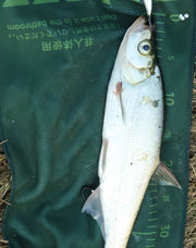 フィッシングタオル 魚計測 50cm カラビナ付き メモリ付き 計測可能 サイズ計測 写真 記録 釣りタオル クロス 釣り用品 釣り用具 フィッシングツール アウトドア用品 魚掴み