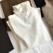 カットソー ハイネック 長袖 レディース 女性 婦人服 トップス タートルネック 無地 単色 シンプル 着回し ベーシック 大きいサイズ