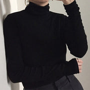 カットソー レディース 女性用 トップス 長袖 ハイネック タートルネック 無地 大きいサイズ フィット感 シンプル ベーシック 着回し力