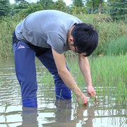 ヒップブーツ ヒップウェーダー ヒップウエイダー 田植え用長靴 釣り用長靴 田靴 フィッシング ロングブーツ 超ロング丈 防水 ずり落ち防止バンド 農作業 田植え レジャー シューズ 男女兼用 ユニセックス 男性用 女性用 シンプル 23.0cmから26.5cm 青色