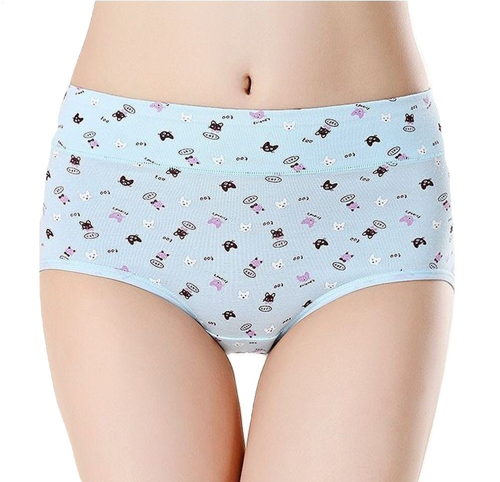 レディース スタンダードショーツ パンツ パンティー ショーツ ノーマル ブルー バリエーション画像