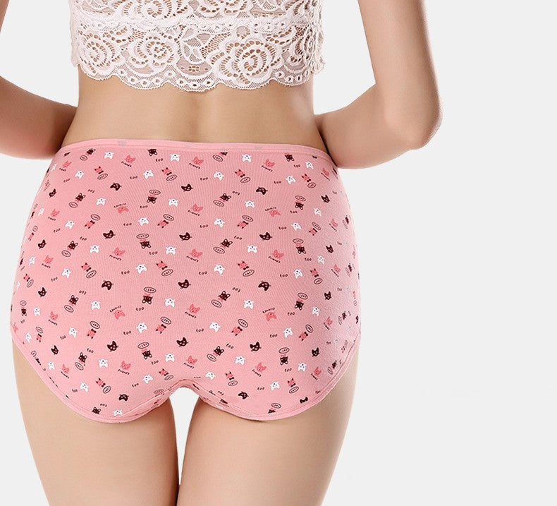 レディース スタンダードショーツ パンツ パンティー ショーツ ノーマル 商品画像4