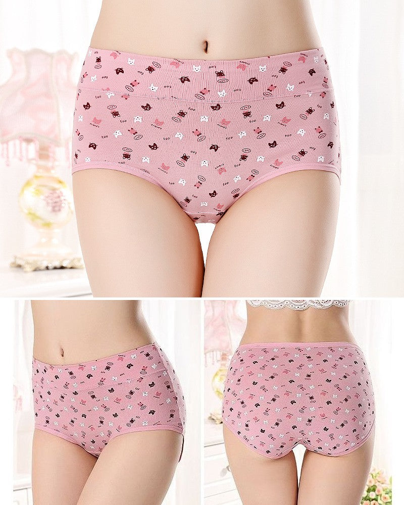 レディース スタンダードショーツ パンツ パンティー ショーツ ノーマル 商品画像5